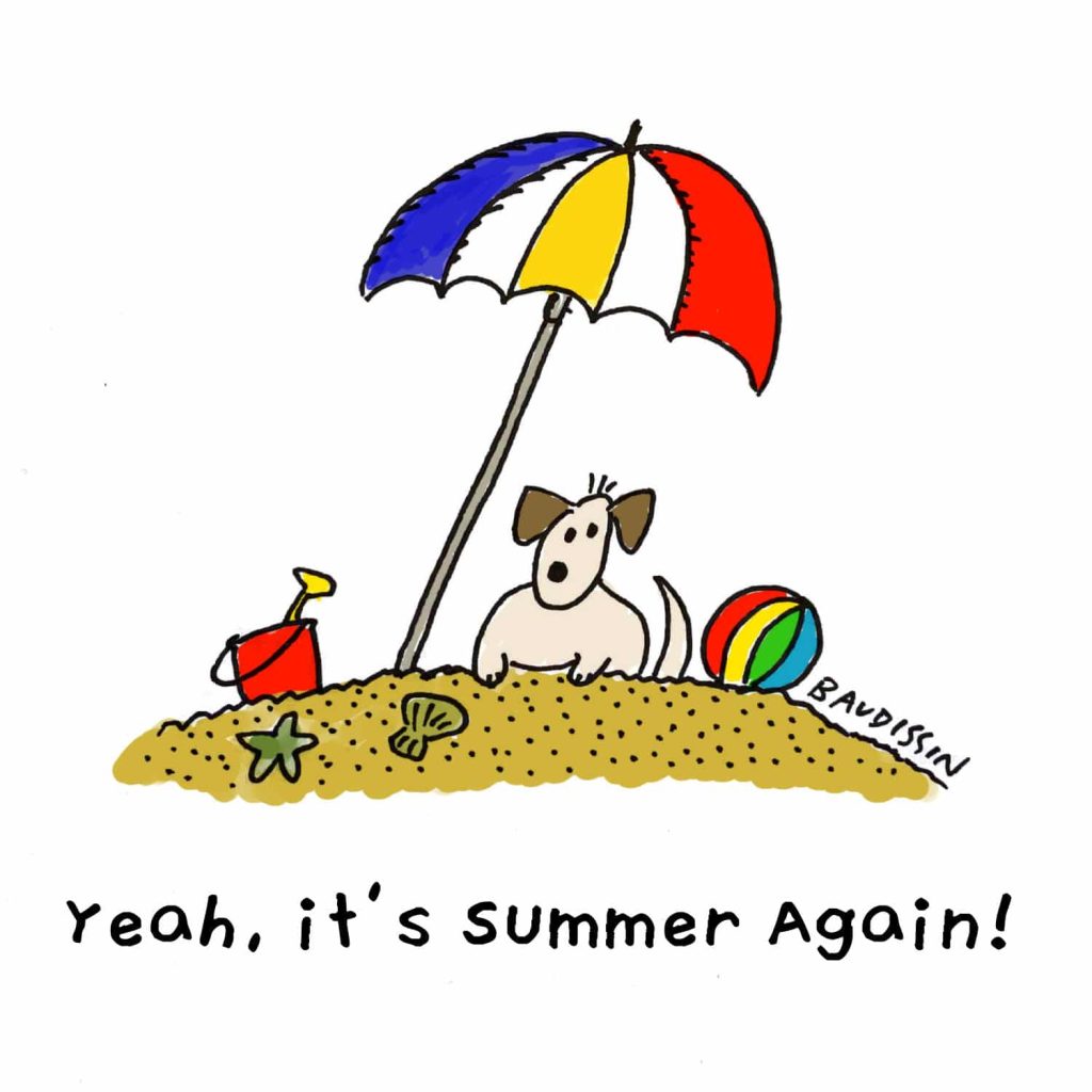 Yeah, it's summer again!