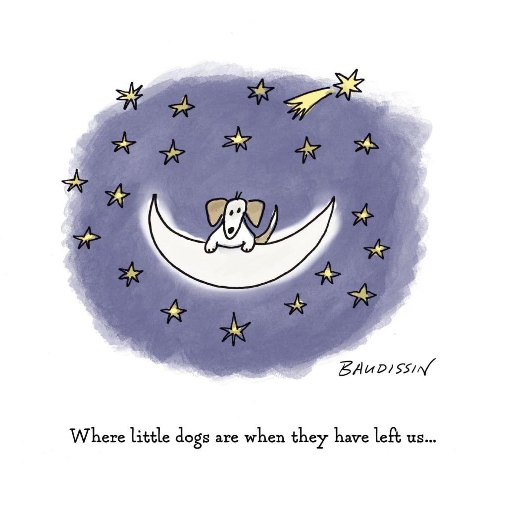 Little Moondog